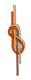 knot