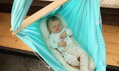 HOJDAVAK BABY dark mint (w/o spring)